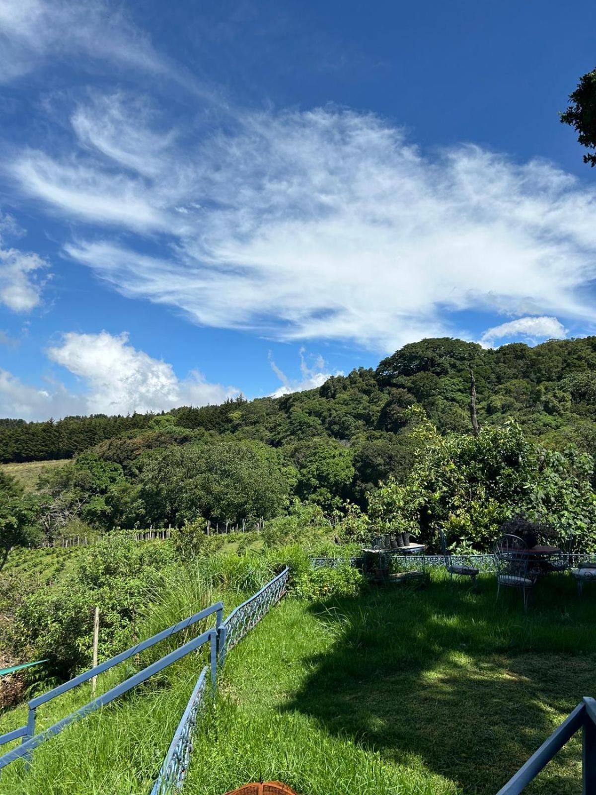 Casa Monte Armadillo Poas エクステリア 写真